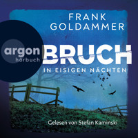 Bruch - In eisigen Nächten - Felix Bruch, Band 2 (Ungekürzte Lesung) - Frank Goldammer - Hörbuch