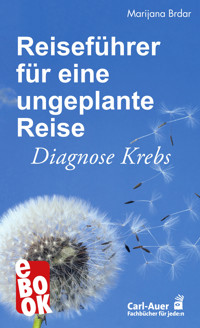 Reiseführer für eine ungeplante Reise - Marijana Brdar - E-Book