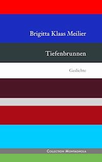 Tiefenbrunnen - Brigitta Klaas Meilier - E-Book