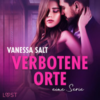 Verbotene Orte: eine Serie - Vanessa Salt - E-Book + Hörbuch