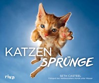 Katzensprünge - Seth Casteel - E-Book