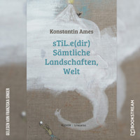 sTiL.e(dir) Sämtliche Landschafen, Welt (Ungekürzt) - Konstantin Ames - Hörbuch