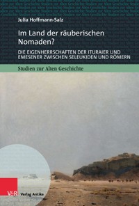 Im Land der räuberischen Nomaden? - Julia Hoffmann-Salz - E-Book