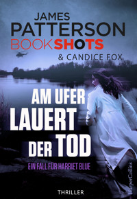 Am Ufer lauert der Tod - James Patterson - E-Book