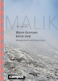 Wenn Grenzen keine sind - Fredmund Malik - E-Book