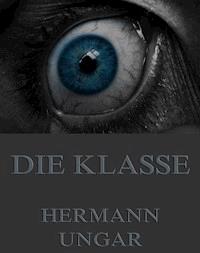 Die Klasse - Hermann Ungar - E-Book