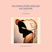 Sachwalters Seelen Sackbahn - Andreas Niederau-Kaiser - E-Book