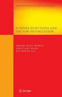 V-Invex Functions and Vector Optimization - Shashi K. Mishra - E-Book