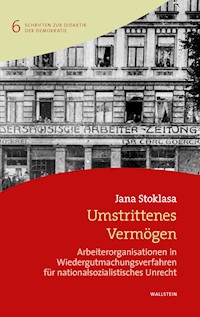 Umstrittenes Vermögen - Jana Stoklasa - E-Book