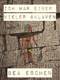 Ich war einer vieler Sklaven - Bea Eschen - E-Book