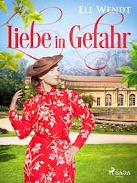 Liebe in Gefahr - Ell Wendt - E-Book
