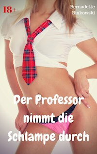 Der Professor nimmt die Schlampe durch - Bernadette Binkowski - E-Book