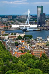 Overige weergaven 2024 december - Eduard Wagner - E-Book