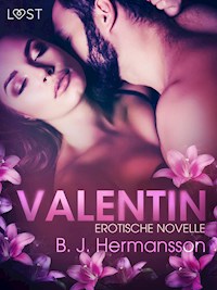 Valentin: Erotische Novelle - B. J. Hermansson - E-Book