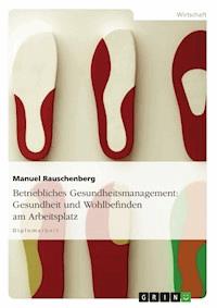 Betriebliches Gesundheitsmanagement: Gesundheit und Wohlbefinden am Arbeitsplatz - Manuel Rauschenberg - E-Book