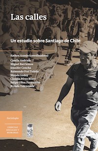 Las calles - Varios autores - E-Book