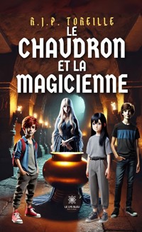 Le chaudron et la magicienne - R.J.P Toreille - E-Book