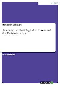 Anatomie und Physiologie des Herzens und des Kreislaufsystems - Benjamin Schmidt - E-Book