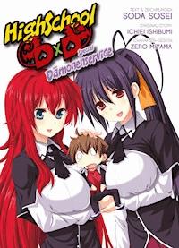 HighSchool DxD Special, Band 2 - Dämonenservice - Ichiei Ishibumi - E-Book