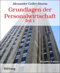 Grundlagen der Personalwirtschaft - Alexander Geller-Sturm - E-Book