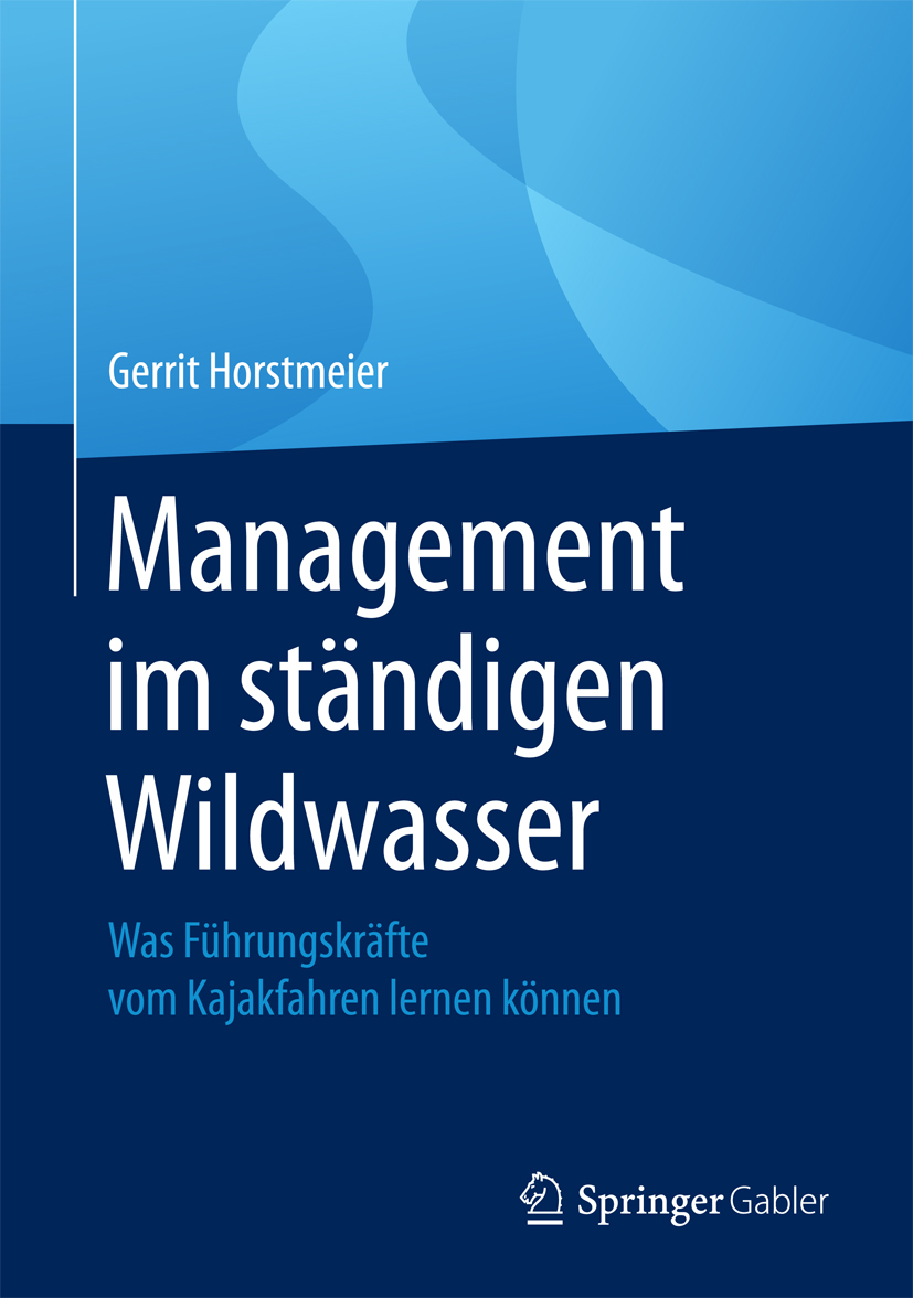 Management im ständigen Wildwasser - Gerrit Horstmeier - E-Book