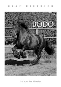BODO - Olaf Dietrich - E-Book