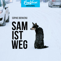 Sam ist weg (Ungekürzt) - Sophie Bienvenu - Hörbuch