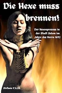 Die Hexe muss brennen - P.A.I.N. Stefanie - E-Book