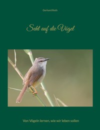 Seht auf die Vögel - Gerhard Roth - E-Book