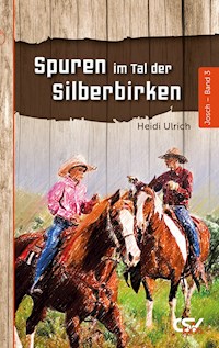 Spuren im Tal der Silberbirken - Heidi Ulrich - E-Book