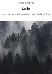 Nacht. - Peter Fechter - E-Book