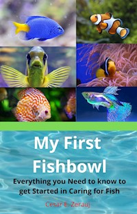 My First Fishbowl - Cesar E. Zerauj - E-Book