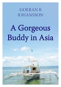 A Gorgeous Buddy in Asia - Goeran B Johansson - E-Book