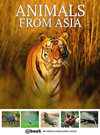 Animals from Asia - My Ebook Publishing House - E-Book