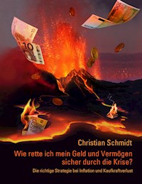 Wie rette ich mein Geld und Vermögen sicher durch die Krise? - Christian Schmidt - E-Book