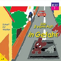 13: Die 3 vom Ast in Gefahr - Eckart zur Nieden - Hörbuch