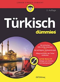 Türkisch für Dummies - Elif Dilmaç - E-Book