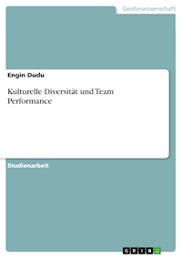 Kulturelle Diversität und Team Performance - Engin Dudu - E-Book