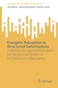 Energetic Relaxation to Structured Deformations - José Matias - E-Book