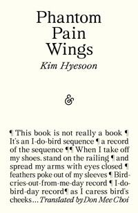 Phantom Pain Wings - Kim Hyesoon - E-Book