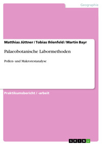 Palaeobotanische Labormethoden - Matthias Jüttner - E-Book