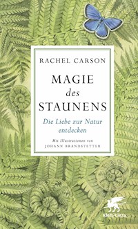 Magie des Staunens - Rachel Carson - E-Book