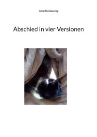 Abschied in vier Versionen - Gerd Steinkoenig - E-Book