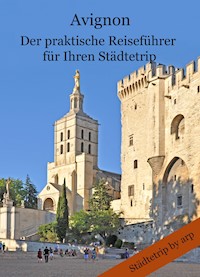 Avignon - Der praktische Reiseführer für Ihren Städtetrip - Angeline Bauer - E-Book