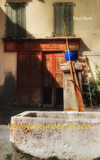 Le Voyageur des Sources - Paul Myré - E-Book