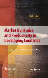 Market Dynamics and Productivity in Developing Countries - - E-Book