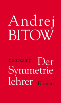 Der Symmetrielehrer - Andrej Bitow - E-Book