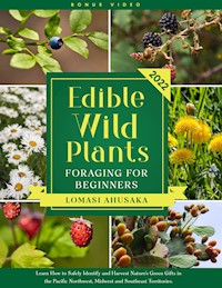 Edible Wild Plants Foraging for Beginners - Lomasi Ahusaka - E-Book