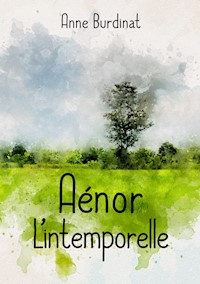 Aénor l'intemporelle - Anne Burdinat - E-Book