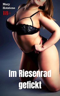 Im Riesenrad gefickt - Mary Hotstone - E-Book